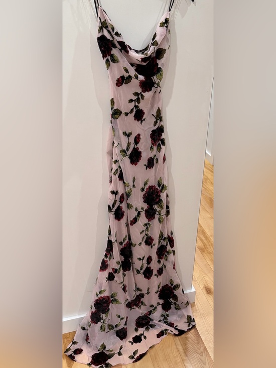 House of CB Dresses & Skirts - House of CB Sheer Pink Floral Dresswith Velvet Rose Applique